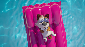 Dog Gone Trouble, dog, pool, trouble, gone HD wallpaper