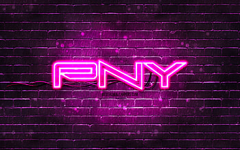 PNY purple logo, , purple brickwall, PNY logo, brands, PNY neon logo, PNY HD wallpaper