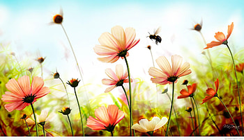 ... summer-beach----carwalluscom--nexus- ... HD wallpaper