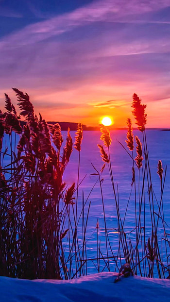 Sunset, Nature, Serene beauty, Scenic views HD phone wallpaper