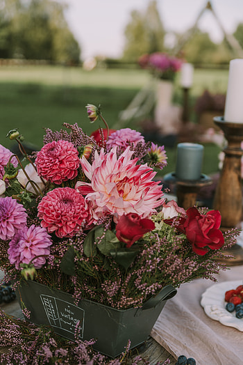 Flowers, Bouquet, Decoration, Composition HD phone wallpaper
