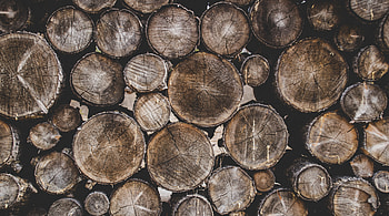 Wood, Wooden, Texture, Textures, Firewood HD wallpaper