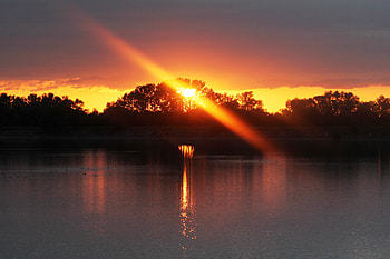 Nature, Rivers, Trees, Sunset, Shine, Light HD wallpaper
