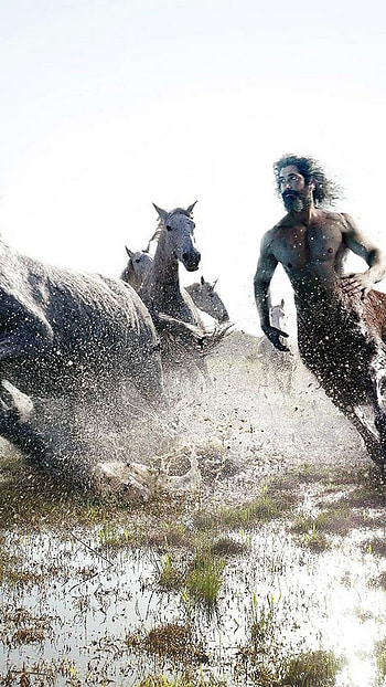 Centaur , Mythical horse-human, Captivating ry, Fantasy realm HD phone wallpaper