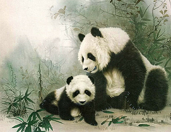 Living in China, bears, painting, plants, animals HD wallpaper