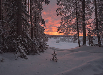 Winter Serenity: Russia’s Snow-Kissed Nature, Russia, nature, winter HD wallpaper