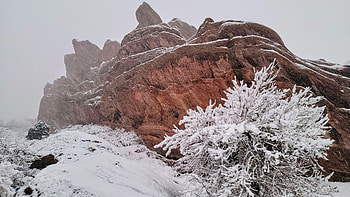Snowing hard at Red Rocks, Colorado, winter, mountains, tree, snow, usa HD wallpaper