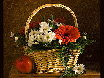 Still life, beautiful, nice, basket, pretty, flowers, gerbera, lovely, harmony HD wallpaper