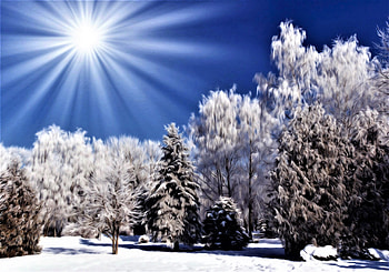 Winter curls, trees, winter, art, painted HD wallpaper