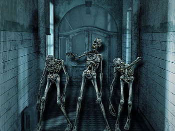 Horror Skeleton Skull Weird Halloween Scary Skull At Dark HD wallpaper