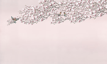 Magnolia composition, Architonic's creation, Artistic splendor, Magnolia's essence HD wallpaper