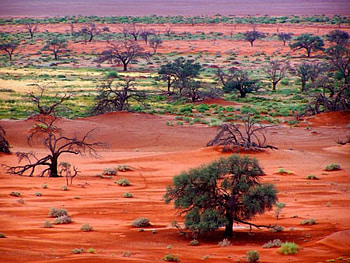 Desert, nature, deserts HD wallpaper