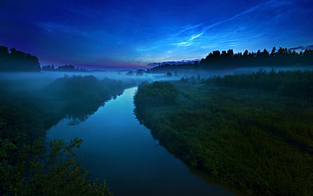 Early Morning Mist, mist, sky, nature, beauty HD wallpaper