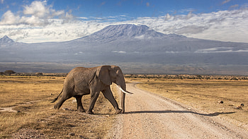 Africa, Travels, , Top backgrounds HD wallpaper