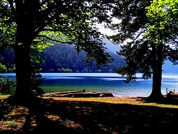 Lake, trees, sky, nature HD wallpaper