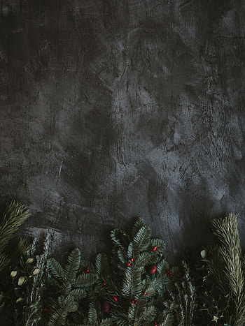Berries, Texture, Textures, Branches, Fir, Spruce, Grunge HD phone wallpaper