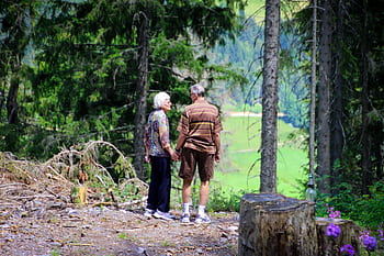 An elderly couple holding hands strolls through a serene forest trail, enjoying nature. HD wallpaper