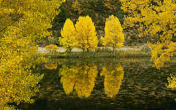 Landscape, Nature, Autumn HD wallpaper