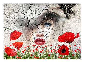 fading memory, poppy, field, face, memory, beauty HD wallpaper