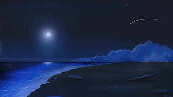 Beach Shooting Stars Moonlight , beach, stars, nature, artist, artwork, digital-art HD wallpaper