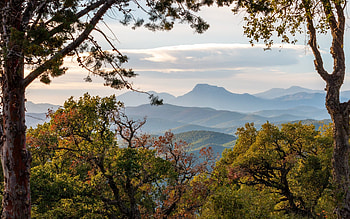 Autumn in Provence, France, trees, autumn, France, mountains HD wallpaper