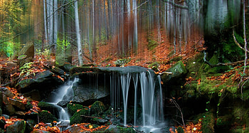Autumn Waterfall, autumn, waterfall, tree, fall HD wallpaper