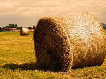 Bales Of Hay, straw, nature, wheat HD wallpaper