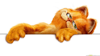 Garfield, Garfield , Quirky comic cat HD wallpaper
