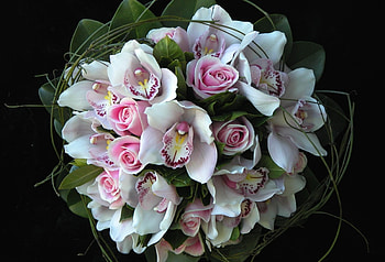 Flowers, Roses, Registration, Typography, Greens, Bouquet, Composition, Orchids HD wallpaper