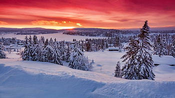 Winter sunset, frost, snow, view, trees, sky, forest, sunset, winter, beautiful, mountain HD wallpaper