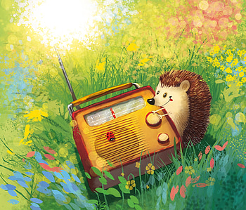 Grass, Art, Radio, Nice, Sweetheart, Hedgehog HD wallpaper