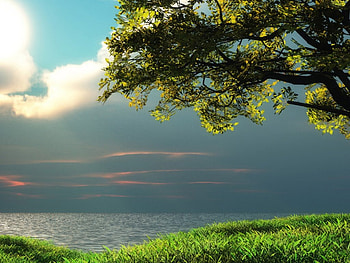eye in the sky, sea, nature HD wallpaper