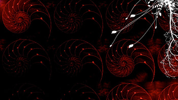 Dark Nautilus Fractals, vectors, fractals, drawings, nautilus, dark HD wallpaper