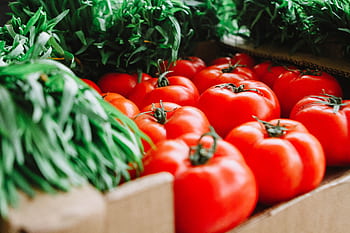 Vibrant red tomatoes and fresh greens displayed at a London farmer's market, showcasing organic produce. HD wallpaper