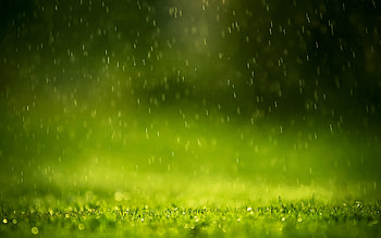 Beautiful Rain Drops, green, rain, drops, graphy, nature, waterdrops HD wallpaper