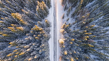 A stunning aerial view of a snow-covered forest with a serene road cutting through. Perfect for winter travel themes. HD wallpaper