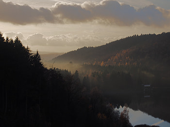 Landscape, Nature, Forest, Fog, Hills HD wallpaper