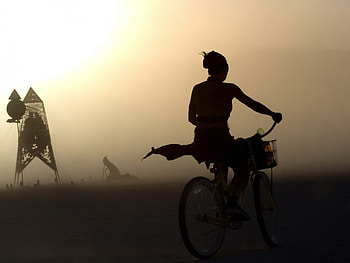 girl on a bicycle, girl, road, bicycle, sunset HD wallpaper