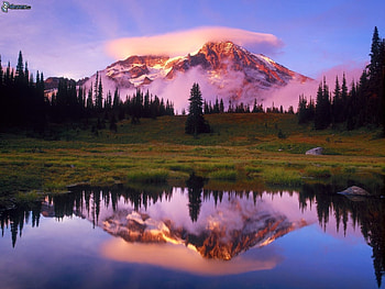 Mount Rainier, Washington, weather, beauty, mountain, lake, reflection, clouds, trees, nature HD wallpaper