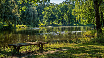 Serene Summer Park: Tranquil Lakeside Escape, summer, park HD wallpaper