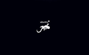 Ubuntu, Linux, Technology, Salamander HD wallpaper