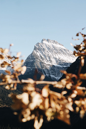 Landscape, Nature, Mountain, Vertex, Top, Branch, Snow Covered, Snowbound HD phone wallpaper