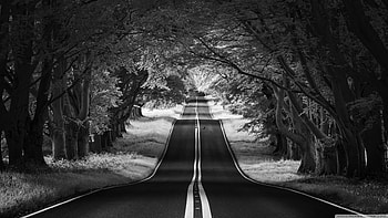 Aesthetic Dark Vintage Aesthetic Laptop, Black and White 70s HD wallpaper