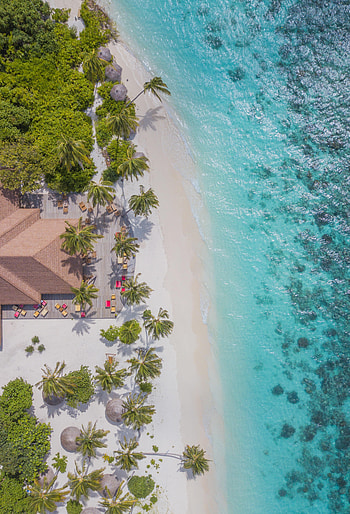 Nature, Beach, Palms, View From Above, Structure HD phone wallpaper