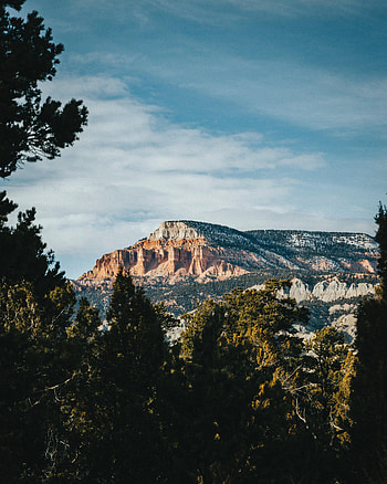 Nature, Trees, Rock, Mountain, Vertex, Top, Branches HD phone wallpaper