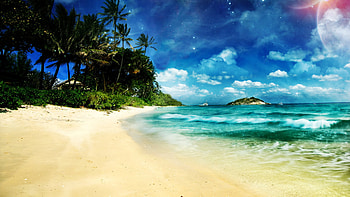 Landscape, Beach, Palms HD wallpaper