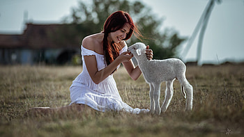 Lady and Lamb, animal, lady, pretty, lamb HD wallpaper