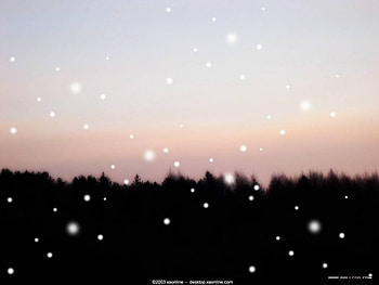 Snowflake Beauty, night, sky, snowflakes falling, forest HD wallpaper