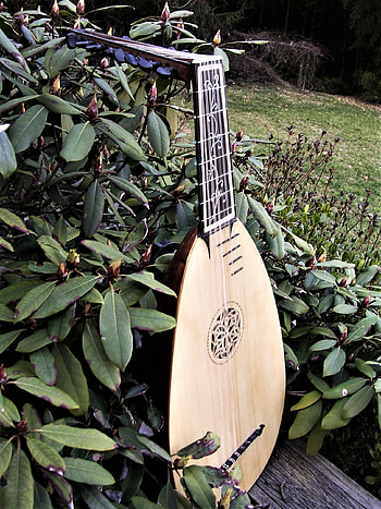 Lute music, Renaissance lute, Seven courses, Dulcimer influence HD phone wallpaper