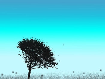 Tree, blue, sky, black HD wallpaper